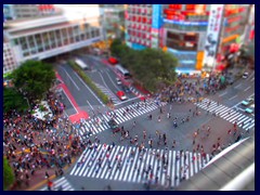 Shibuya Crossing